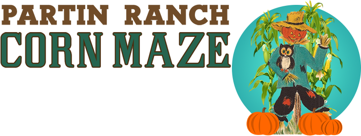 Pumpkin (1400x294), Png Download