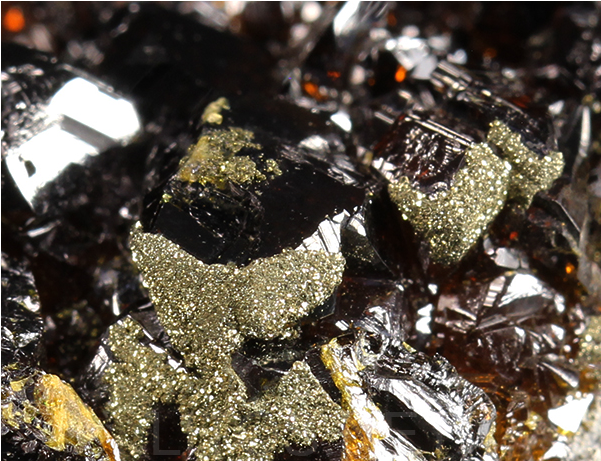 Blenda - Eye Shadow (800x800), Png Download