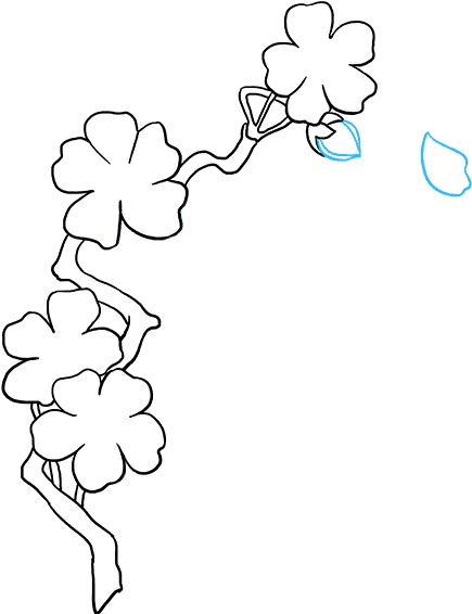 How To Draw Cherry Blossoms - Drawing (680x678), Png Download