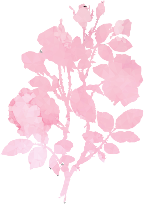 Download Miss Bugs Clipart Cherry Blossom St - Lilac (900x900), Png Download