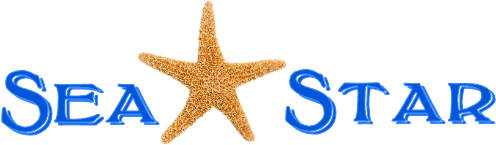 Total Downloads - Starfish (636x208), Png Download