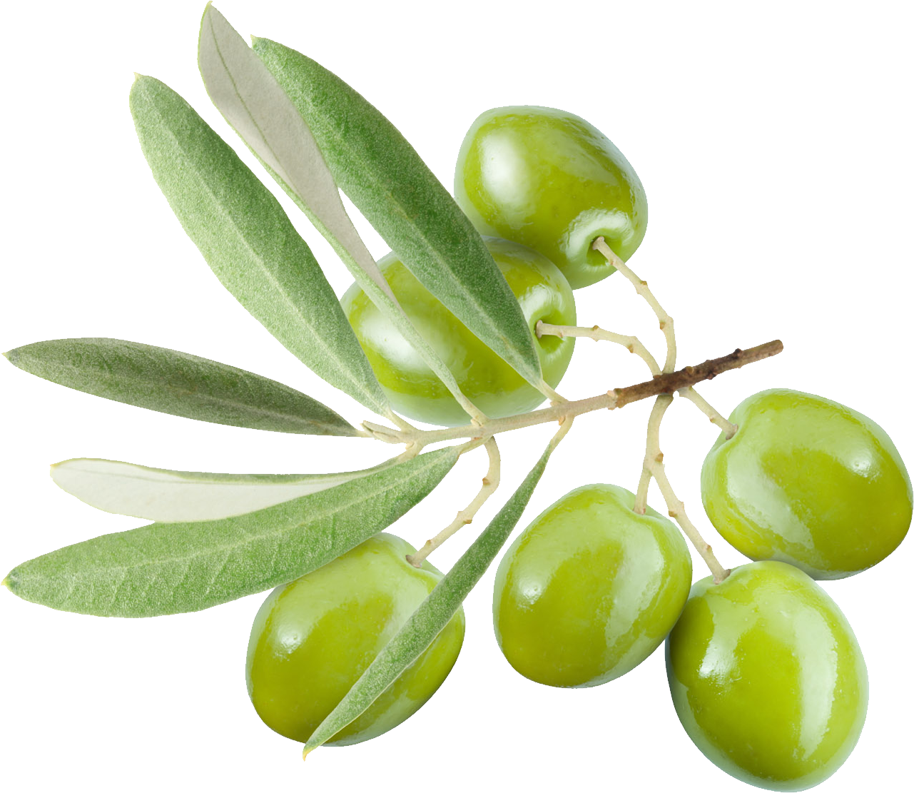 Sweet Essentials 100% Pure Organic Squalane Oil - 8oz (1281x1111), Png Download