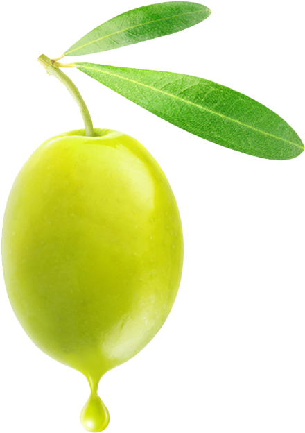 Olive Png - Png Olive (838x955), Png Download