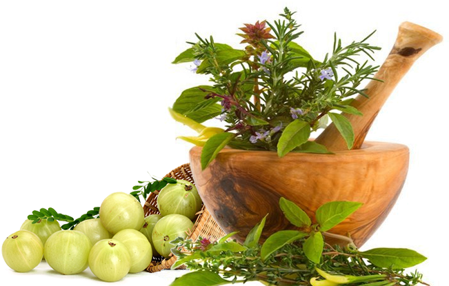 Slide Background - Ayurvedic Herbal (1024x436), Png Download