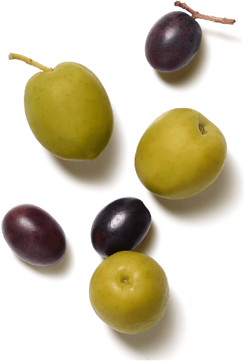 Images - Olive (1040x1040), Png Download