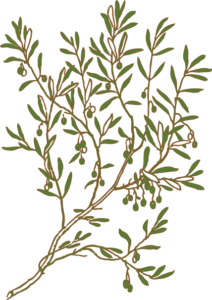 Olive Svg Clip Arts 420 X 594 Px (420x594), Png Download