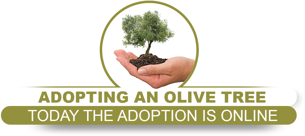 Adoption Campaign Developed And Designed To Enhance - Olive Tree White Background (1920x600), Png Download