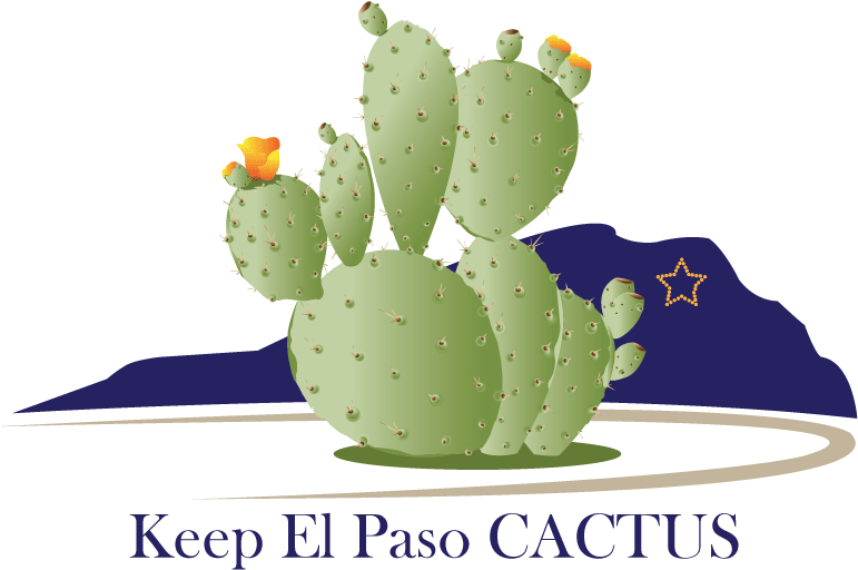 Bold, Playful Vector Design For Drennan Enterprises - Eastern Prickly Pear (1200x1000), Png Download