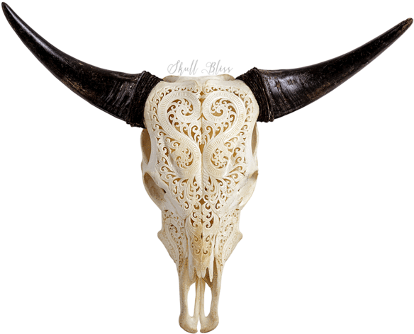 Horned Antelope Skull Transparent (600x600), Png Download