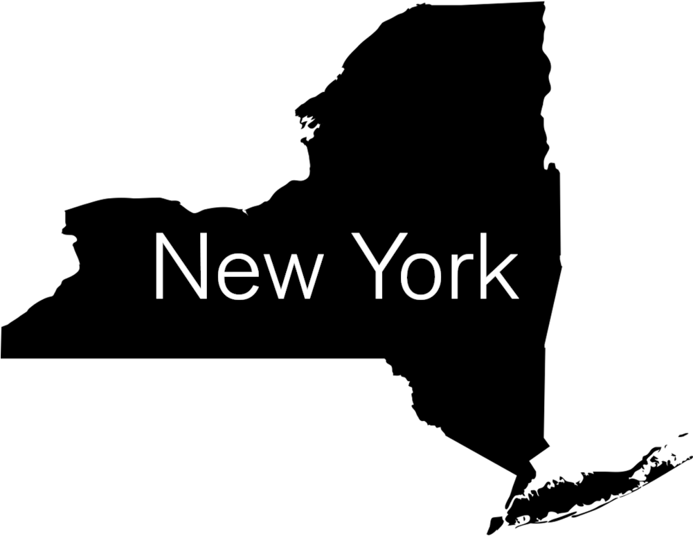 Ny For Wtb - Map Of New York State (1000x1000), Png Download