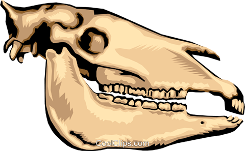 Animal Skull Royalty Free Vector Clip Art Illustration - Mesozoic Fossils (480x297), Png Download