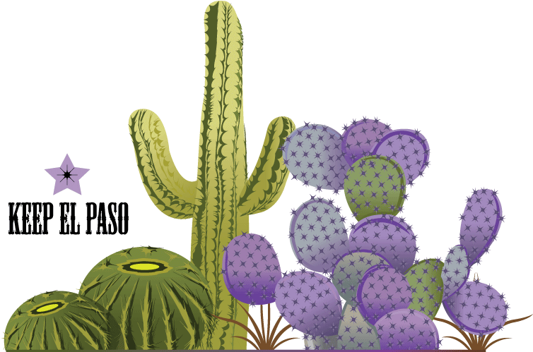 Bold, Playful Vector Design For Drennan Enterprises - Weberocereus (1200x1000), Png Download