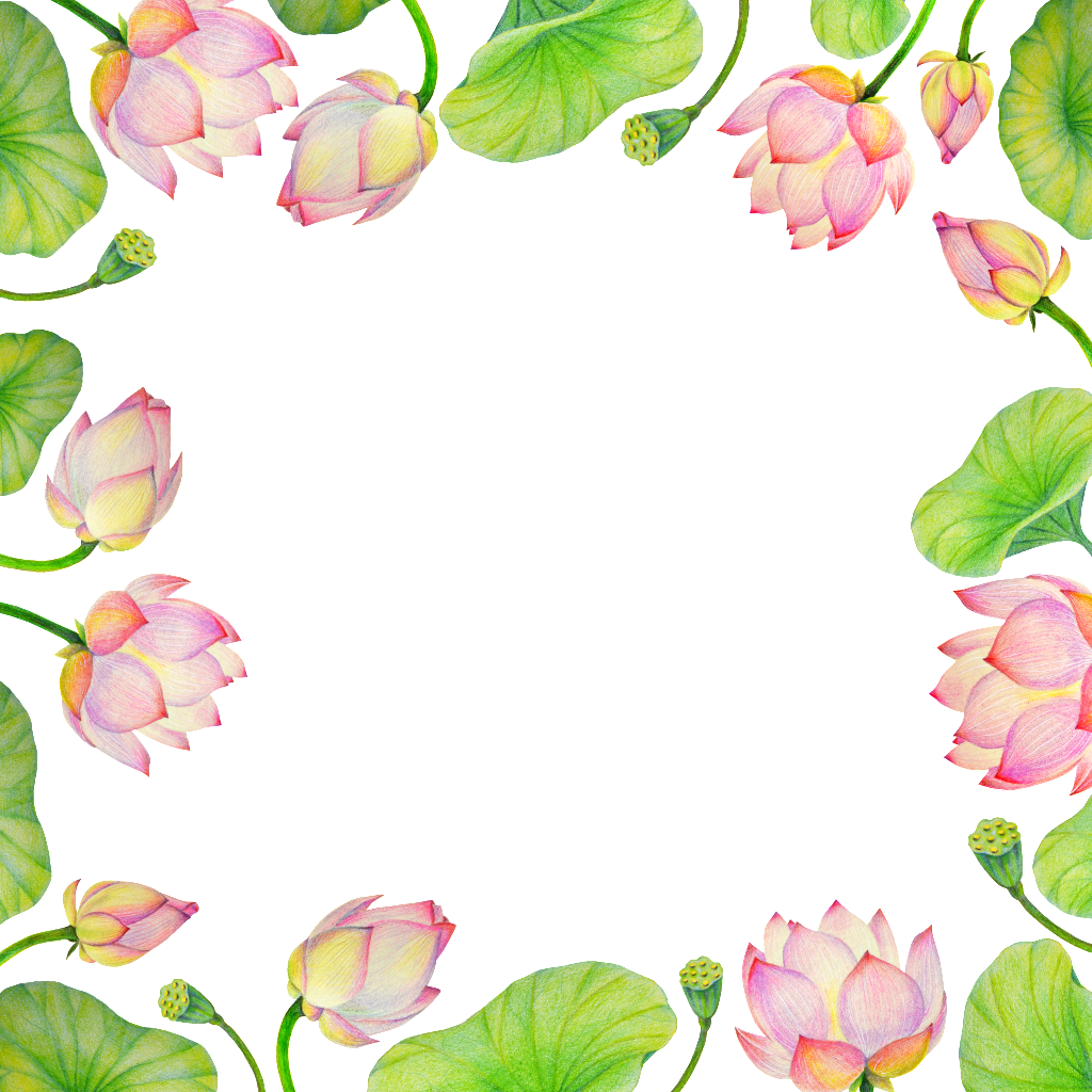 This Backgrounds Is Hand Painted Light Pink Lotus Background - Portable Network Graphics (1024x1024), Png Download