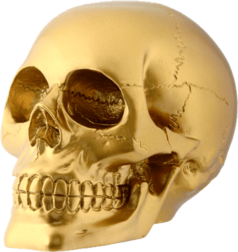 Gold Skull - Gold Skull Home Decor (555x555), Png Download