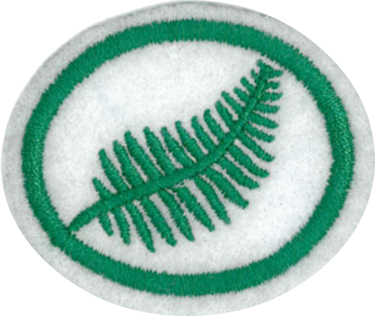 Ferns Honor - Computer File (752x633), Png Download