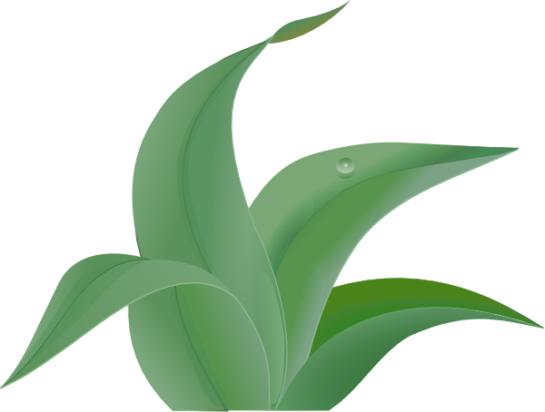 Leaves Clip Art At Clker Com Vector - Jungle Leaf Clipart (600x454), Png Download