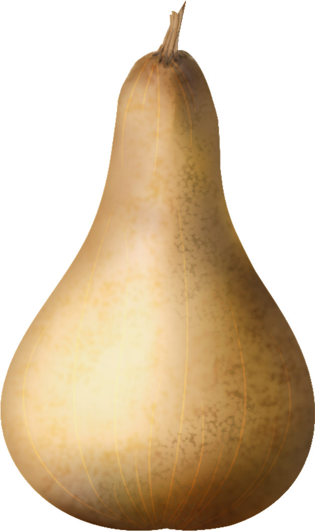 Vector Pumpkin - Pumpkin (696x1056), Png Download