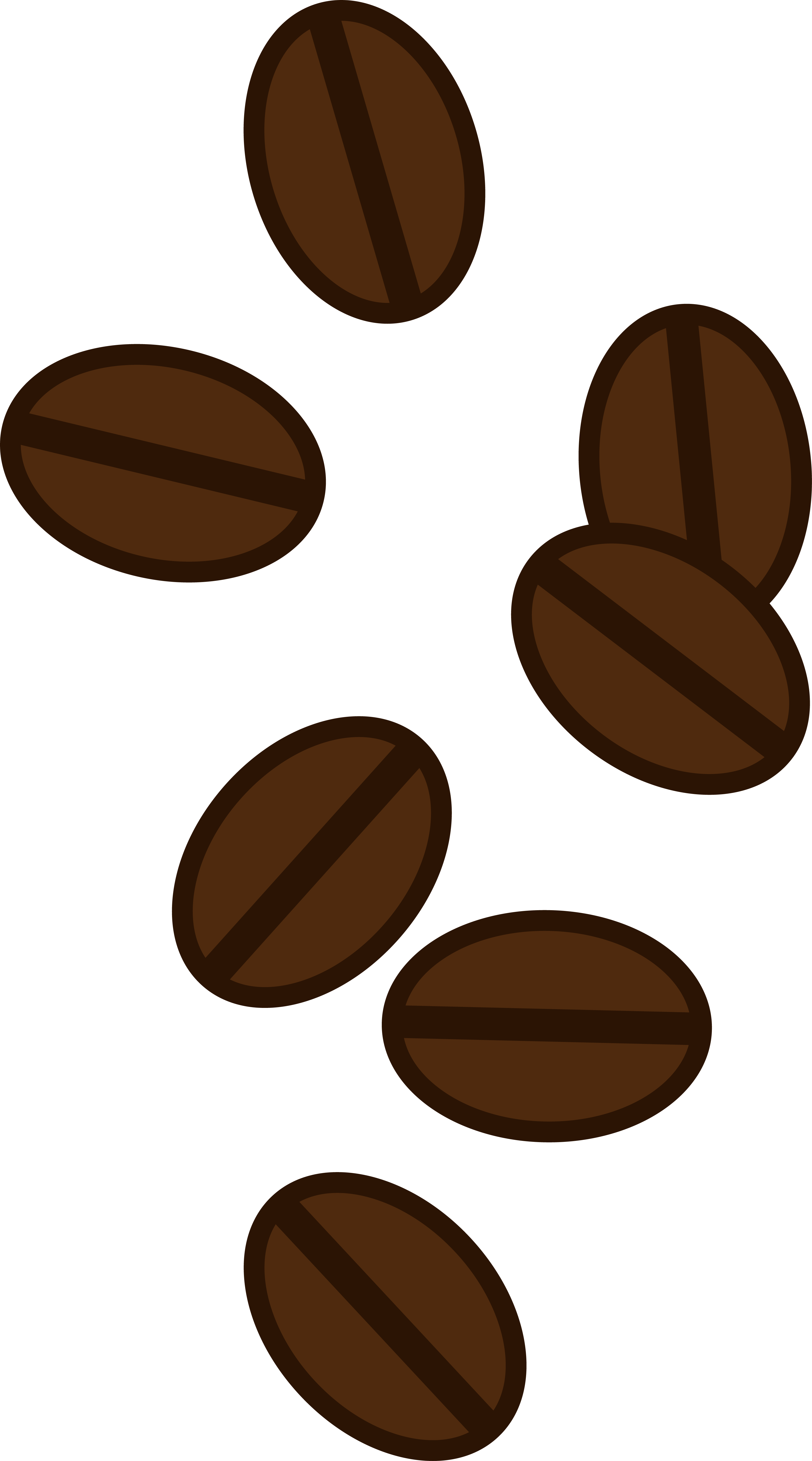 Coffee - Coffee Bean Clip Art (3252x5846), Png Download