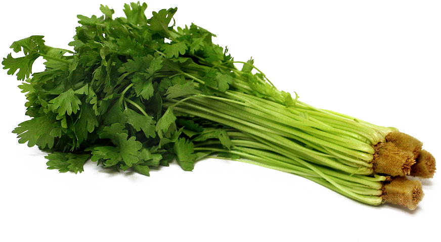 Celery Png Pic - Celery Png (872x479), Png Download