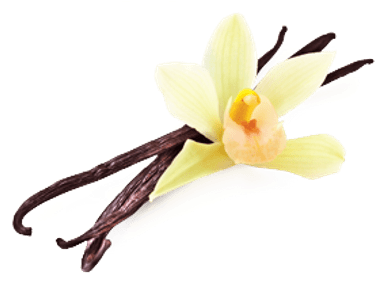Vanilla (400x400), Png Download
