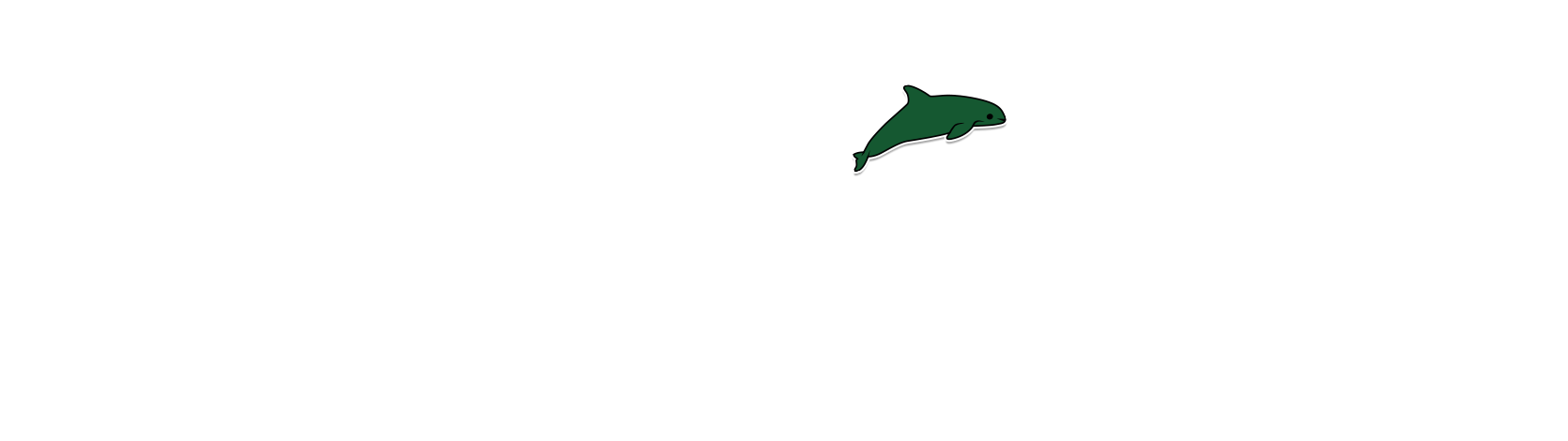 lacoste dolphin