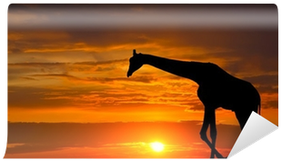 Silhouette Of A Giraffe Against A Beautiful Sunset - Giraffe (400x400), Png Download