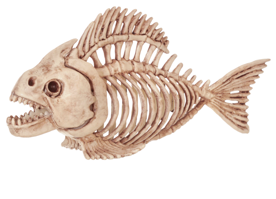 Skeleton Fish - Fish Skeleton Halloween Decoration (650x433), Png Download