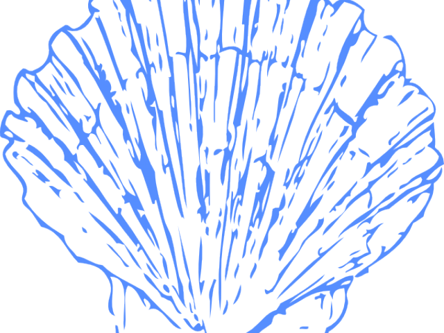 Clam Clipart Blue Seashell - Blue Seashell Png (640x480), Png Download