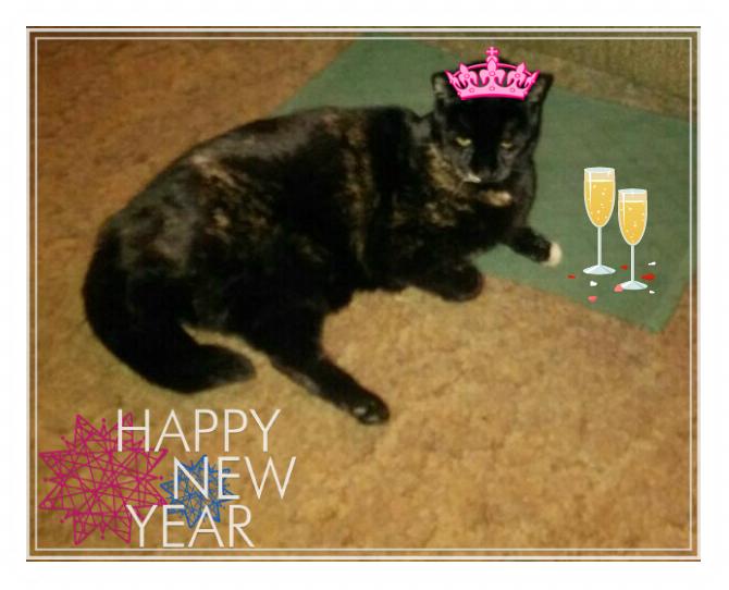 She Informed Me That's What Photo-editing Software - Image Editing (670x542), Png Download