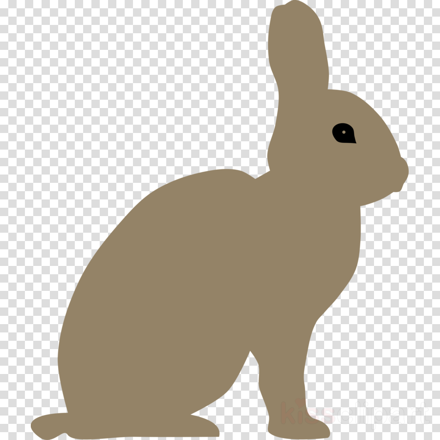 Download Gray Bunny Rabbit Transparent Clipart Snowshoe - Child Tutu Ballerina Silhouette (900x900), Png Download
