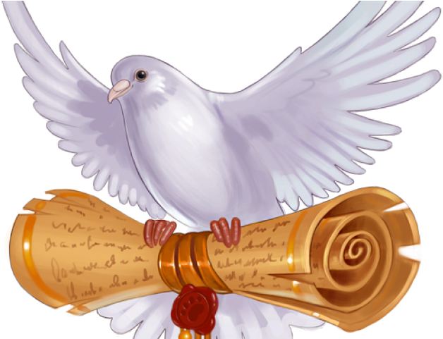 Pigeons And Doves (640x480), Png Download