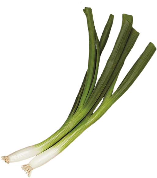 2 Unit - Leek (640x640), Png Download