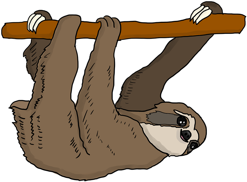 Sloth Tree Sloth Hanging Cute Mammal Cartoon - Sloth Clipart (960x637), Png Download