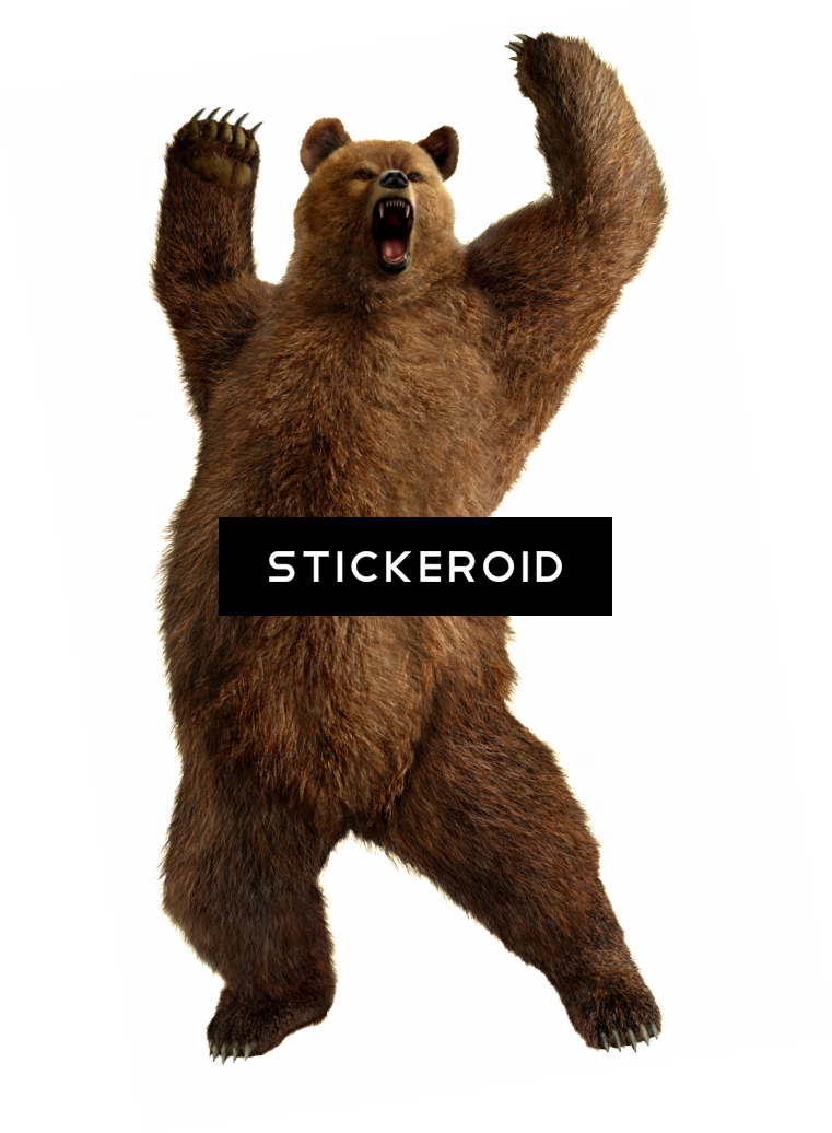 Bear - Junior's Grizzly Bear Christmas Hat V T Shirt Santa (761x1036), Png Download
