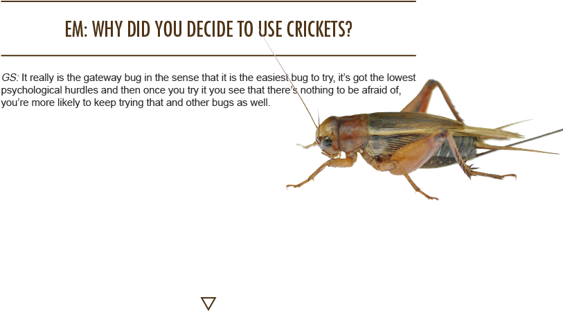 Next Issue - Grasshopper (1024x768), Png Download