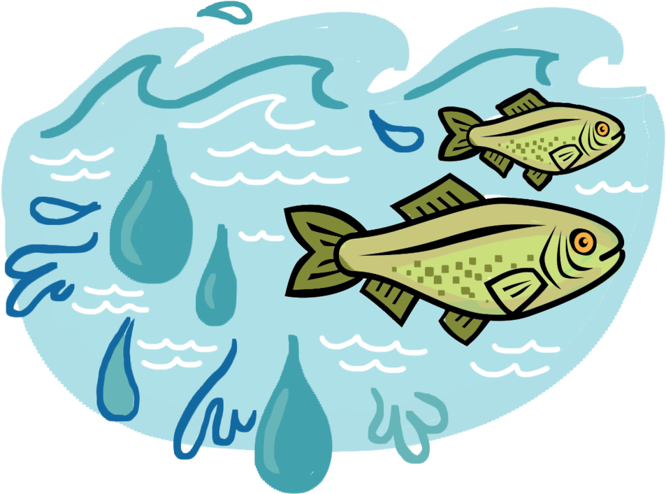 From 2013 2015, Abcd Worked With The Oldman Watershed (1000x792), Png Download