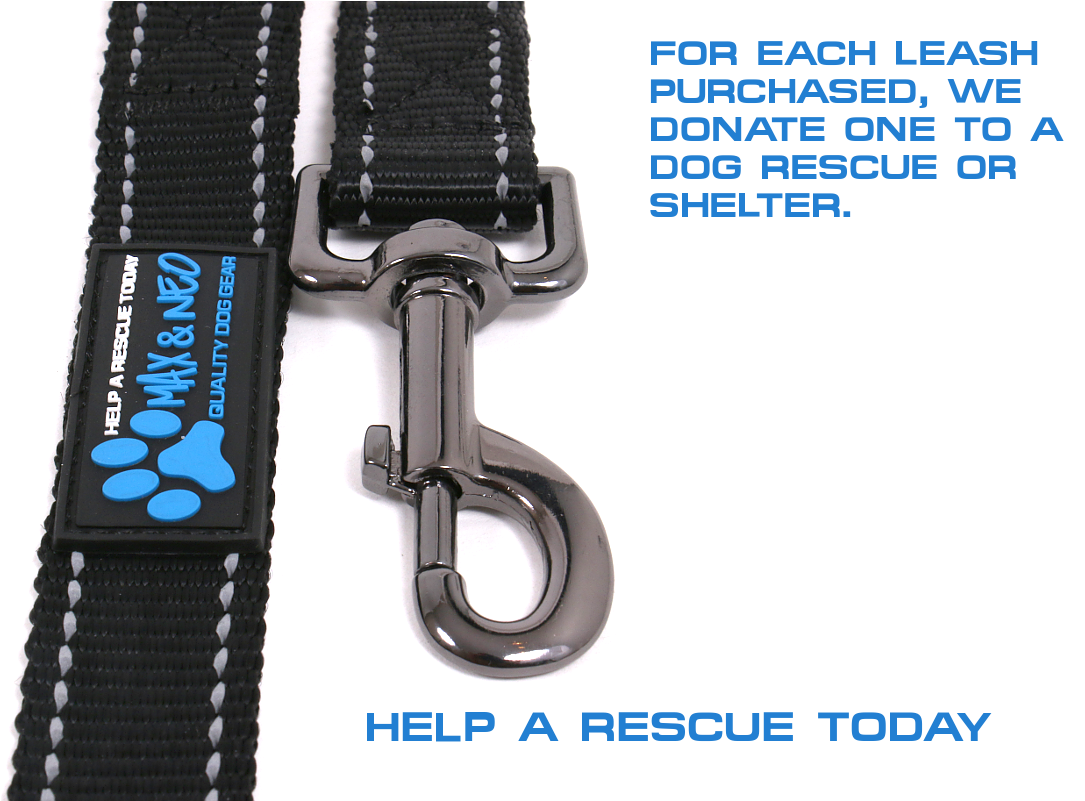 4 Ft X 1" Wide Nylon Reflective Dog Leash (1084x1084), Png Download