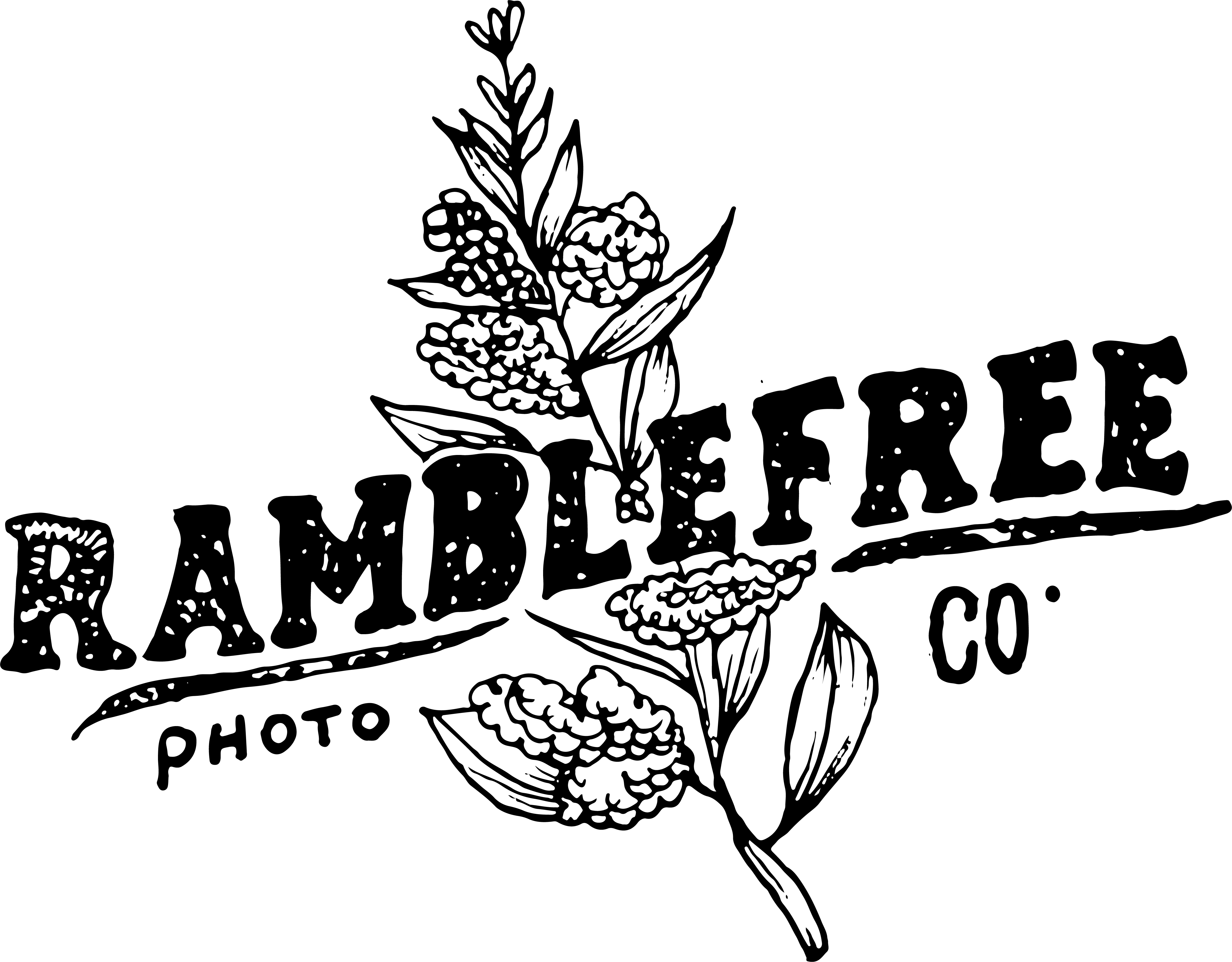 New England Wedding Photographer - New England (4757x3715), Png Download