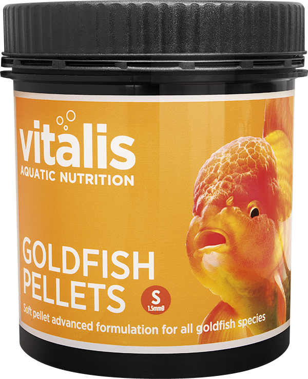 Home - Vitalis Goldfish Flakes (600x738), Png Download
