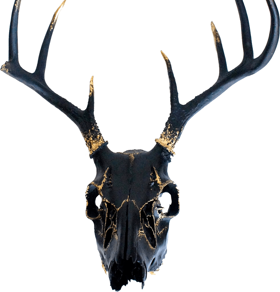 01 - Deer Skull Painted Black (909x949), Png Download
