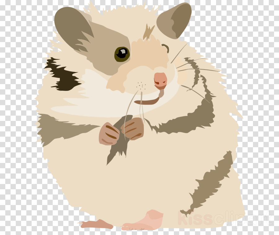 Hamster Kawaii Ttransparant Clipart Golden Hamster - Best Gift - Hamster Hoodie/t-shirt/mug Black/navy/pink/white (900x760), Png Download