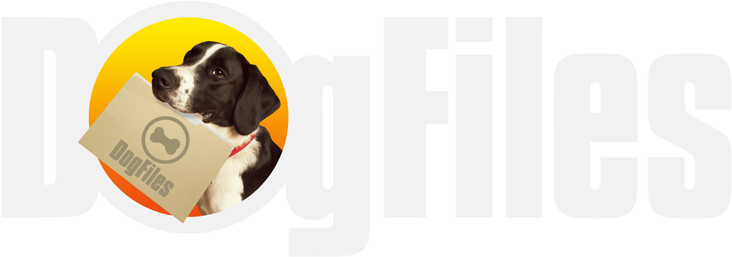 Croatia (1600x578), Png Download