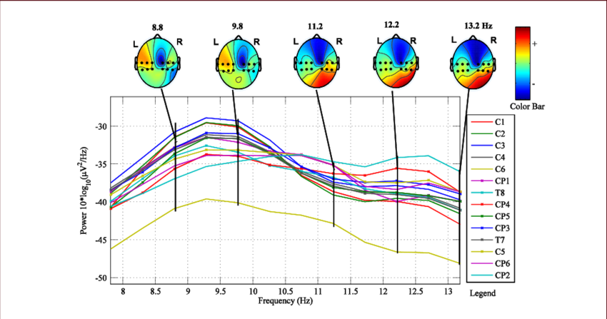 Topographical Map Of Brain For Alpha Rhythm For Relax - Alpha Wave (850x447), Png Download
