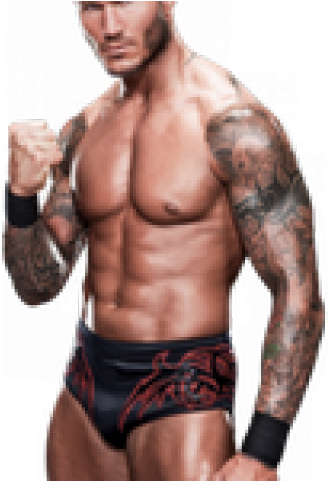 Wwe Superstars Randy Orton 2013 (640x480), Png Download