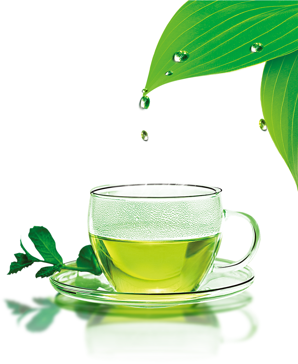 Green Tea Png Download Image - Youlanda Tea Infuser, Stainless Steel Tea Strainer (1087x1606), Png Download