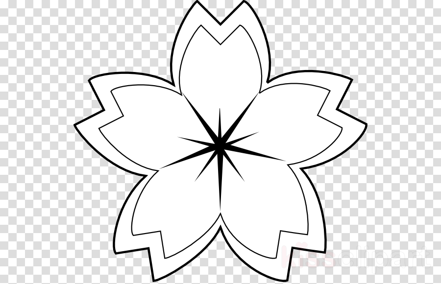 Download Sakura Flower Coloring Book Clipart Subaru - Clip Art (900x580), Png Download