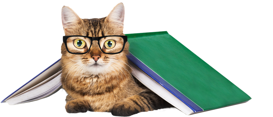 Career Res1 - Cat Training: The Definitive Step By Step Guide To (1000x750), Png Download