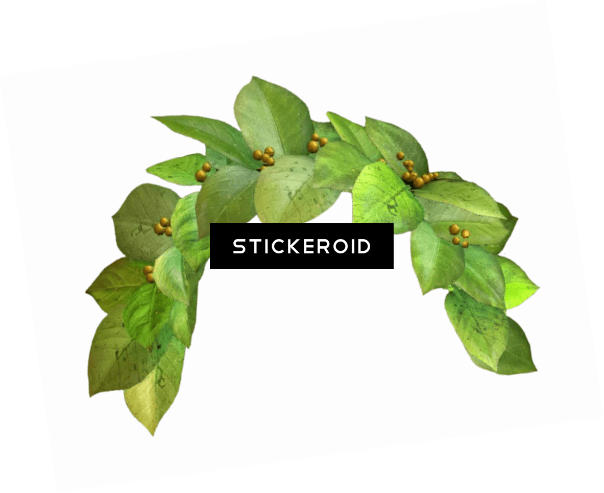 Download Snapchat Filter Green Crown Snapchat Photo Filter