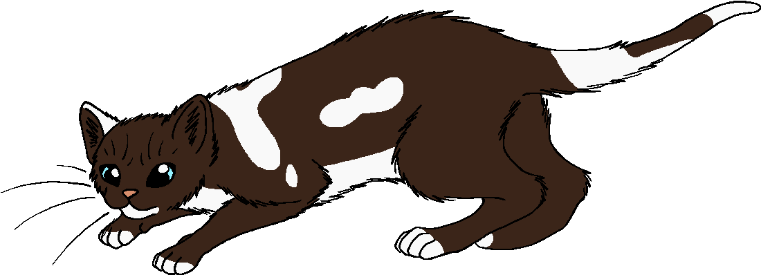 Warrior Cats Png Thunder And Shadow Graphic Library - Wiki (1176x482), Png Download