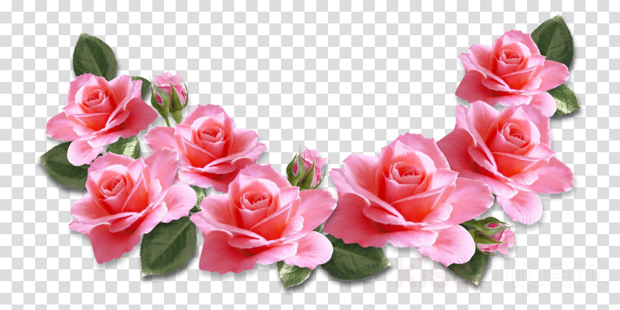 Download Transparent Pink Flowers Png Clipart Pink Flowers Rose - Pink